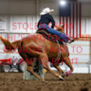 Meet your Posher, Aydin